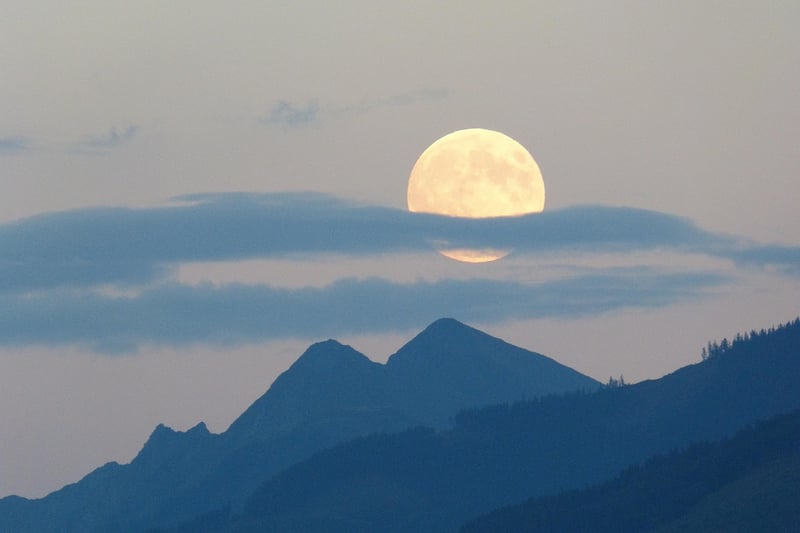 Moonlit Setting